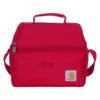 Bolsa térmica para el almuerzo con dos compartimentos y capacidad para 12 latas