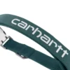 Collares para perros de campo