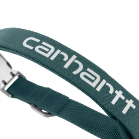 Collares para perros de campo