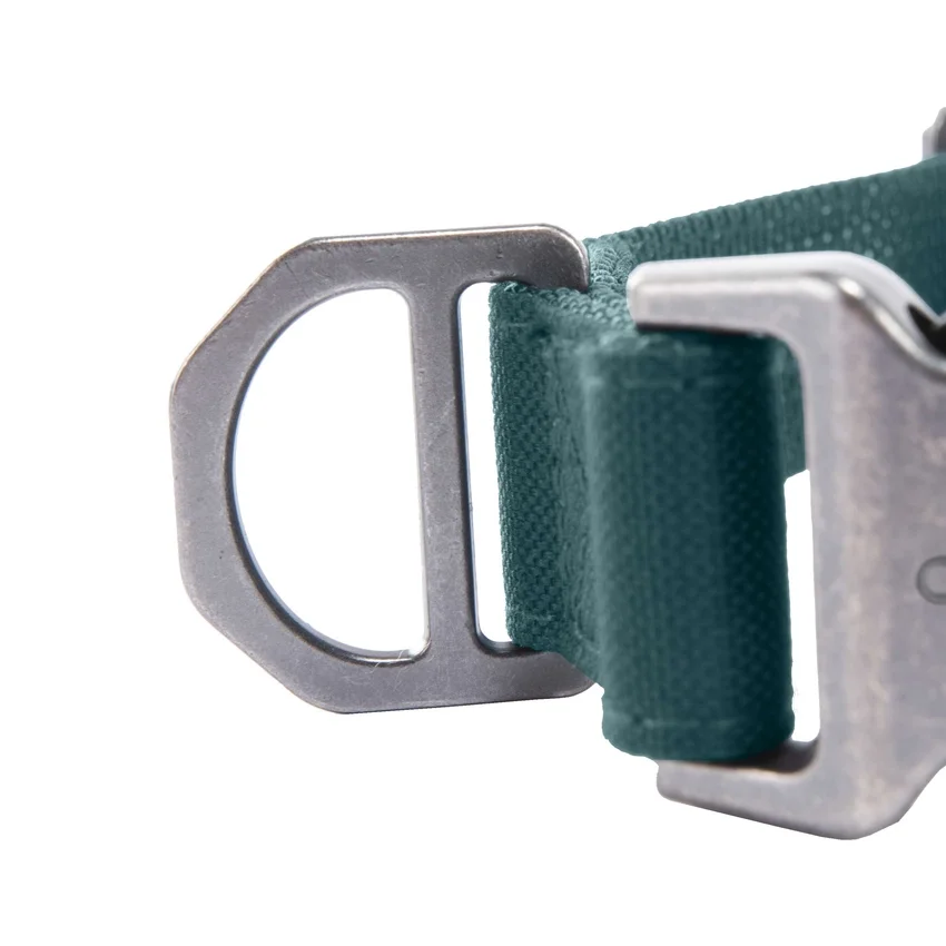 Collares para perros de campo