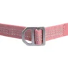 Correas para perros «Field»