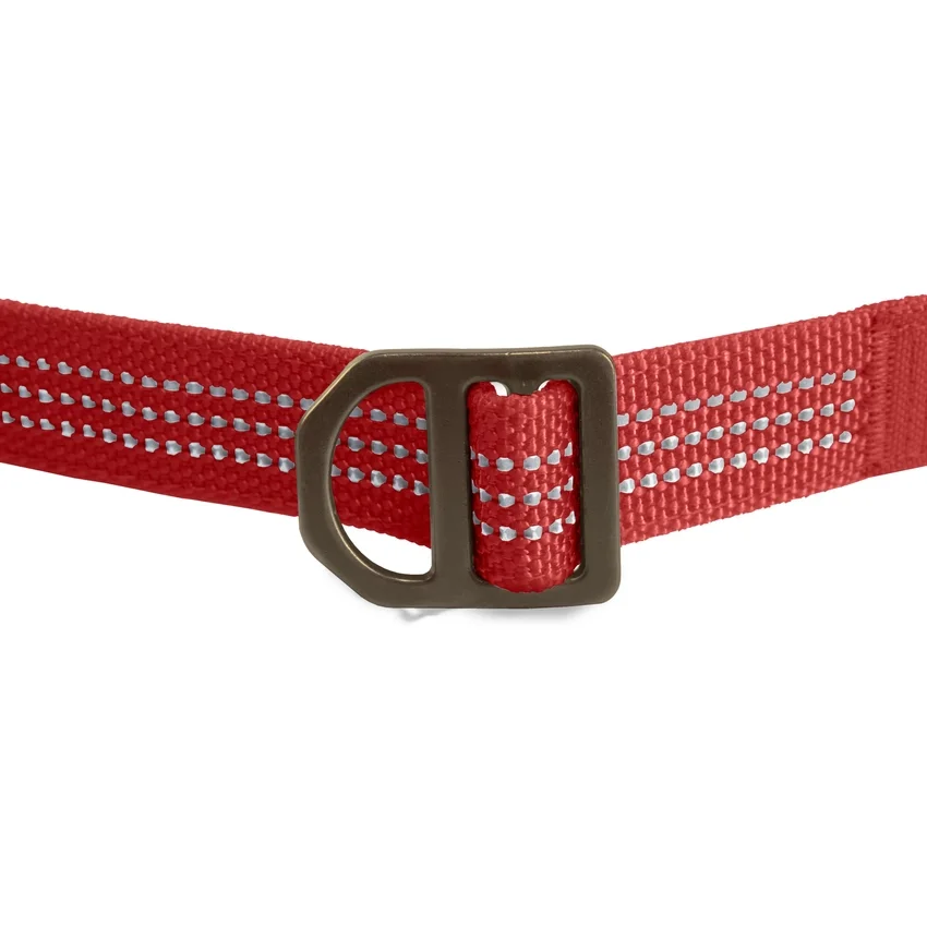 Correas para perros «Field»