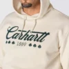 Sudadera con capucha para hombre Marquette con estampado de trébol - Sudadera del Día de San Patricio