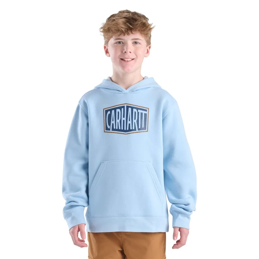 Sudadera con estampado de manguitos largos para niño (niños pequeños/niños/jóvenes)